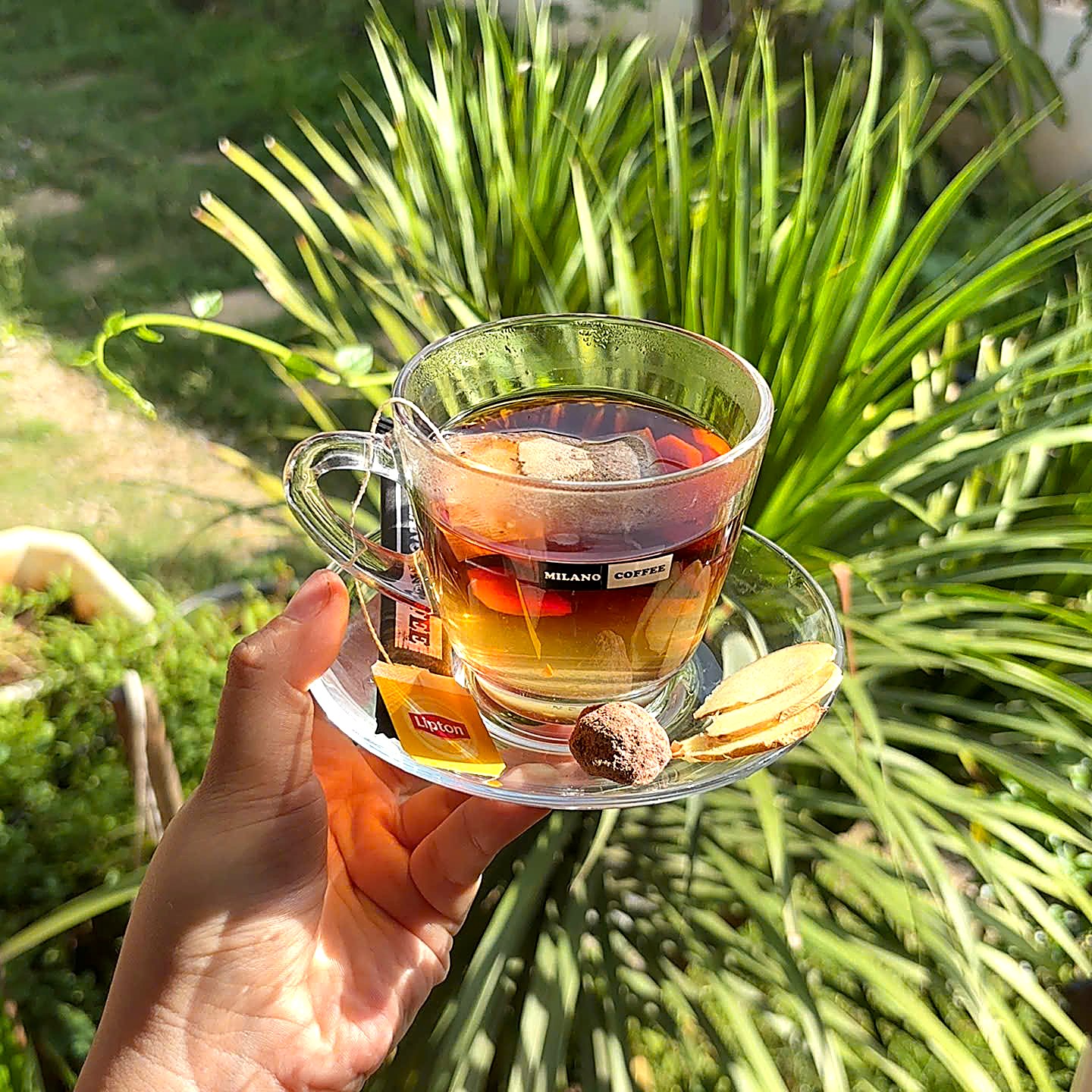Trà Lipton gừng mật ong tại Milano Coffee Nhà Gỗ
